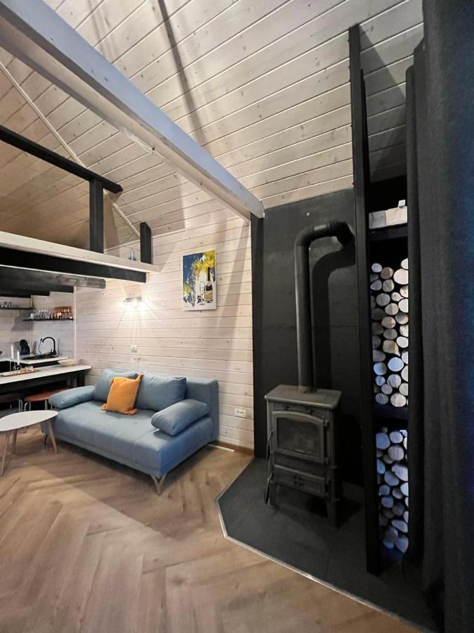 Mini Valley House 1 Sita Buzaului Экстерьер фото