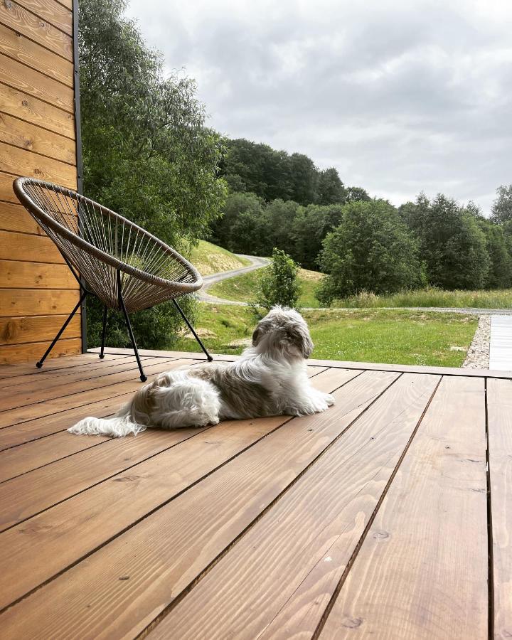 Mini Valley House 1 Sita Buzaului Экстерьер фото