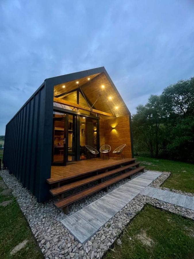 Mini Valley House 1 Sita Buzaului Экстерьер фото